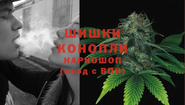 ГАЛЛЮЦИНОГЕННЫЕ ГРИБЫ Горняк