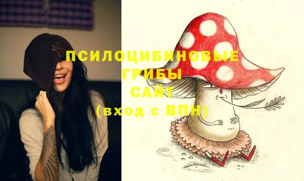 ГАЛЛЮЦИНОГЕННЫЕ ГРИБЫ Горняк