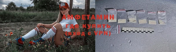ГАЛЛЮЦИНОГЕННЫЕ ГРИБЫ Горняк