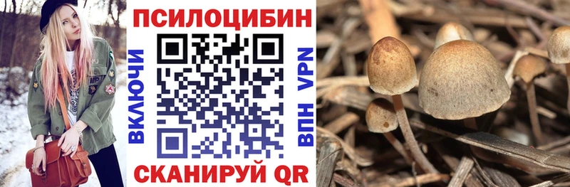 Купить закладки  Рыбное  Галлюциногенные грибы MAGIC MUSHROOMS 
